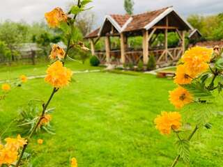 Фото Гостевой дом Casa "La Moara din Grădină" г. Eftimie Murgu